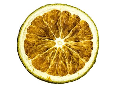 Single Slice Of A Dry Lime Fruit