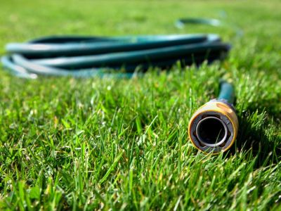 Garden Hose On The Lawn