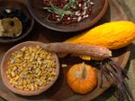 Native American Harvest Vegetable Plate Of Corn And Squash