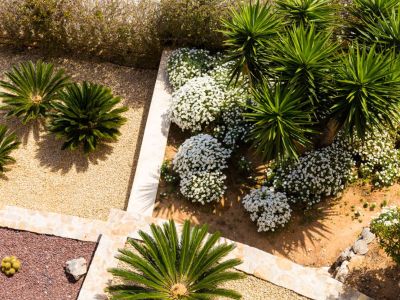 Xeriscape Solutions For Common, What Does Xeriscape Landscaping Mean