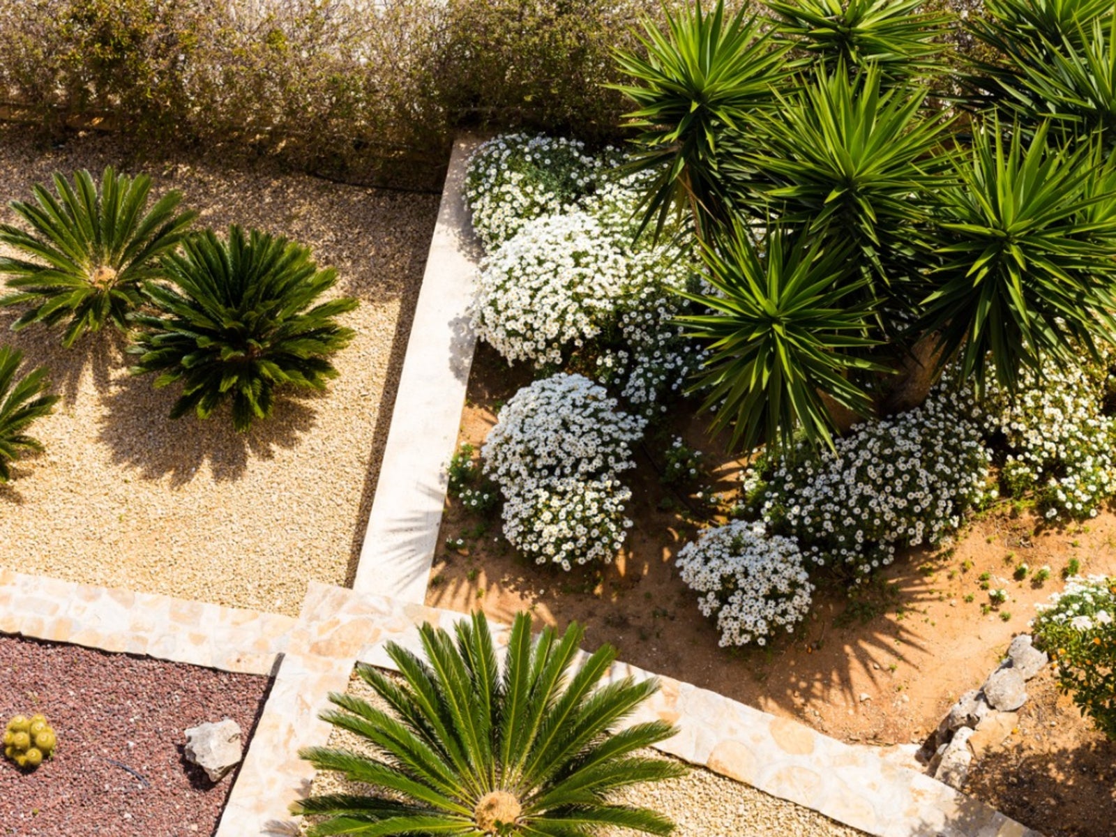 Xeriscape Solutions For Common, What Is Xeriscape Landscaping