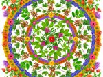 Colorful Art Mandala Flower Garden Design
