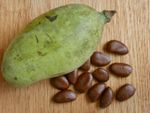 Pawpaw Fruit With Brown Seeds