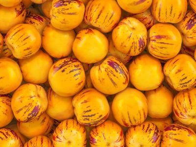 Small Orange Pepino Melons