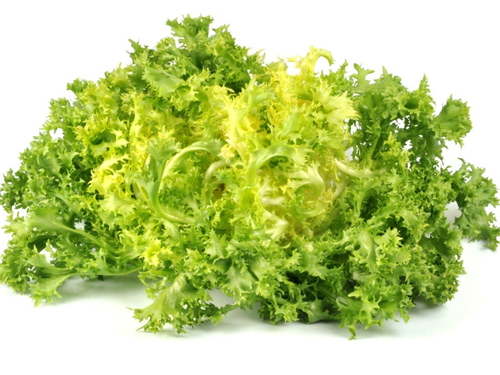What Are Frise Greens - How To Grow Frisée In The Garden
