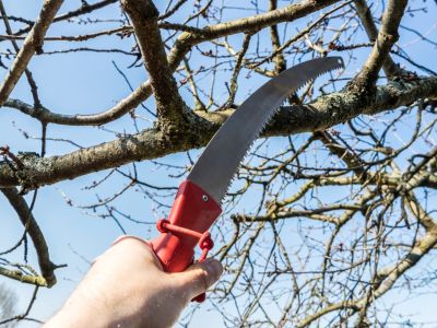 Fiskars Saw Cutting Tree Branches Pruning Cutting Shrubs Fixed Blade 13” 330mm 