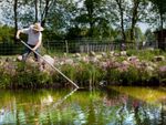 Person Cleaning A Garden Pond