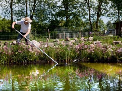 Garden Pond Cleaning Tips Advice, How To Keep Outdoor Fish Pond Clean