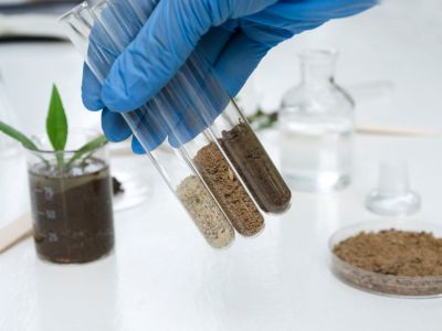 Test Tubes Of Common Types Of Potting Soils