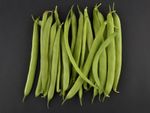 Green Crop Bush Beans