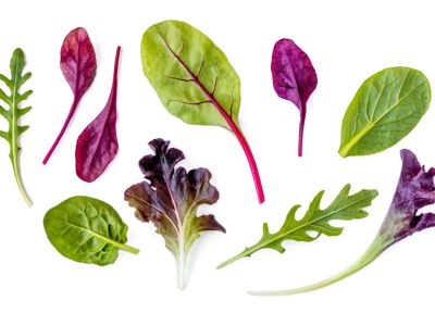 Alternative Salad Greens