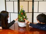 Kids Placing Ornaments On A Potted Rosemary Tree