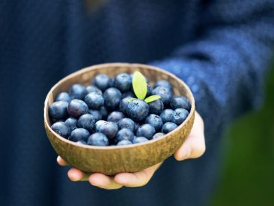 Person Holding A Bowl Of Blueberries