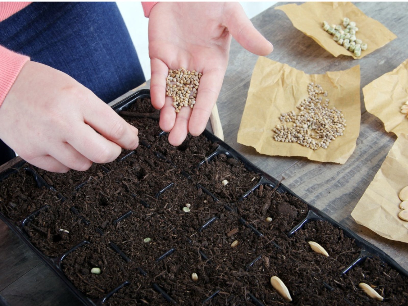 Hands planting seeds in a seed starting tray