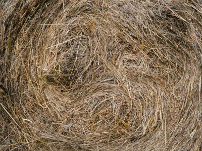 Composting Of Hay Bales