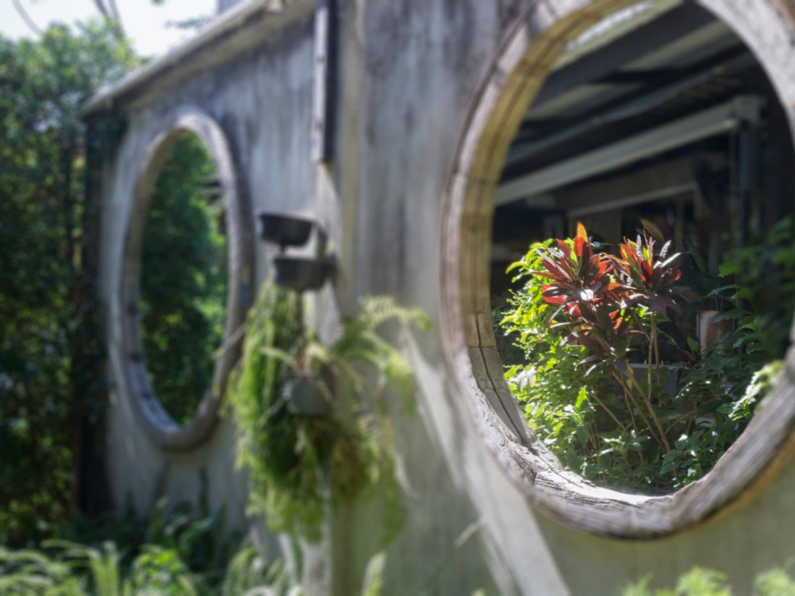 ¿Los espejos ayudan a que las plantas crezcan en el interior?