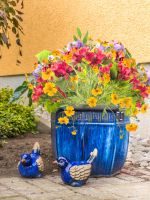 Outdoor Blue Container Full Of Colorful Flowers