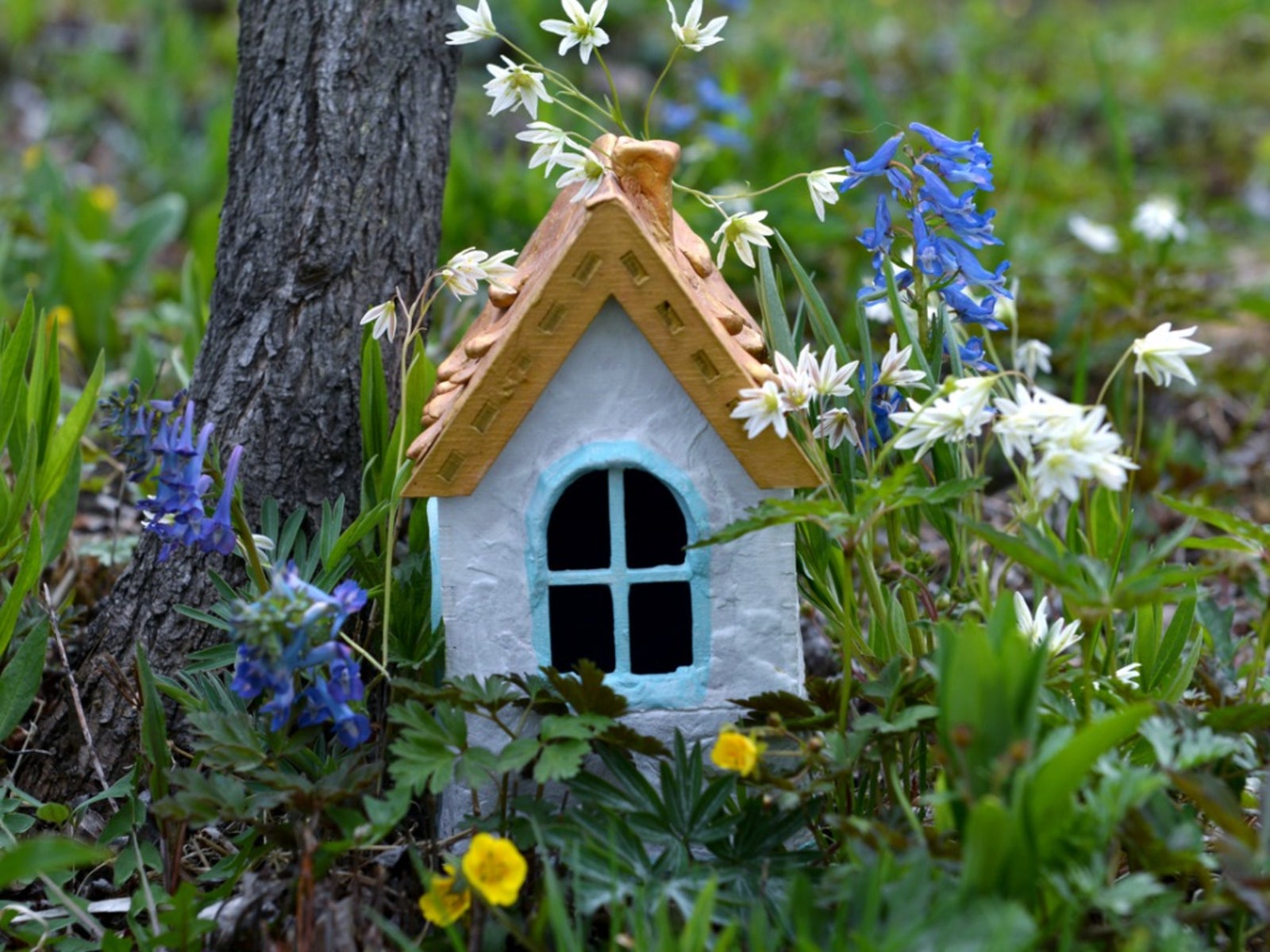 Plant Ideas For A Fairy Garden - Plants That Attract Fairies To The Garden