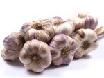 White-Purple Garlic Bulbs