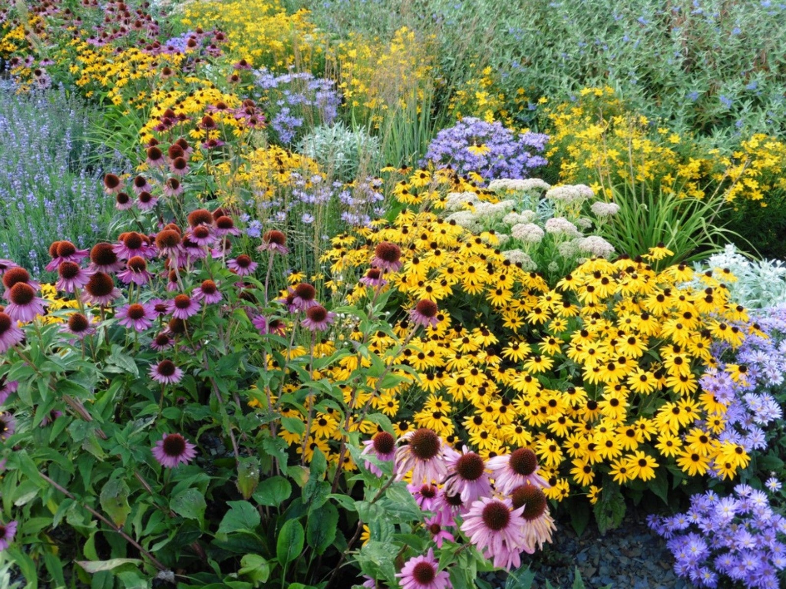 Perennial Garden Design Tips For, How To Make A Perennial Garden Design