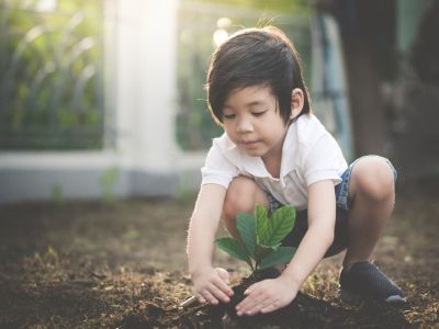Child Planting A Plant Into The Ground