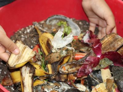 A Child Composting