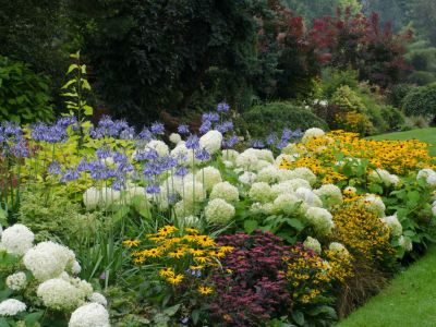 A Flower Bed Full Of Colorful Flowers