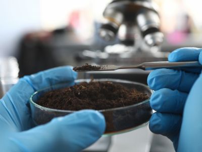 How to know if there are toxins in local soil