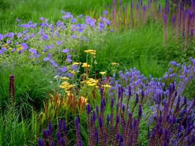 A Prairie Style Garden Of Colorful Flowers