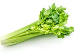 Leafy Green Celery Stalk