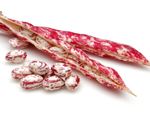 Red-White Bean Seeds