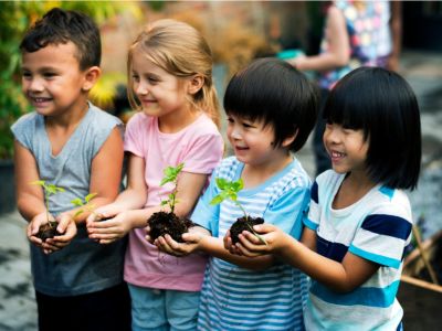 Children Holding Plants In Soil