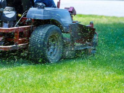 Lawn Mower Cutting Green Grass