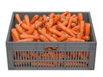 A Basketful Of Carrots For Storing