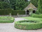 An English Style Garden With Green Hedges