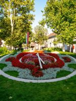 A Clock Garden Design Of Colorful Flowers