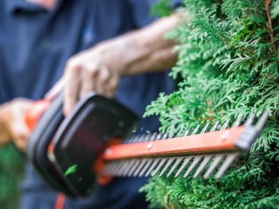 Trimming A Hedge With Electric Hedge Trimmers