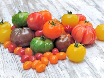 Variety Of Colorful Tomatoes Of All Sizes