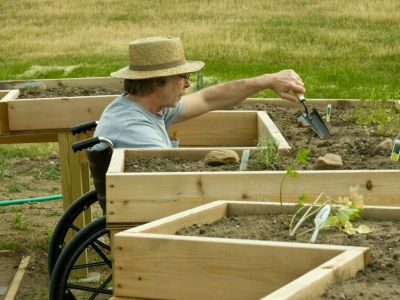 A Gardener With Disabilities Gardening In Raised Garden Beds