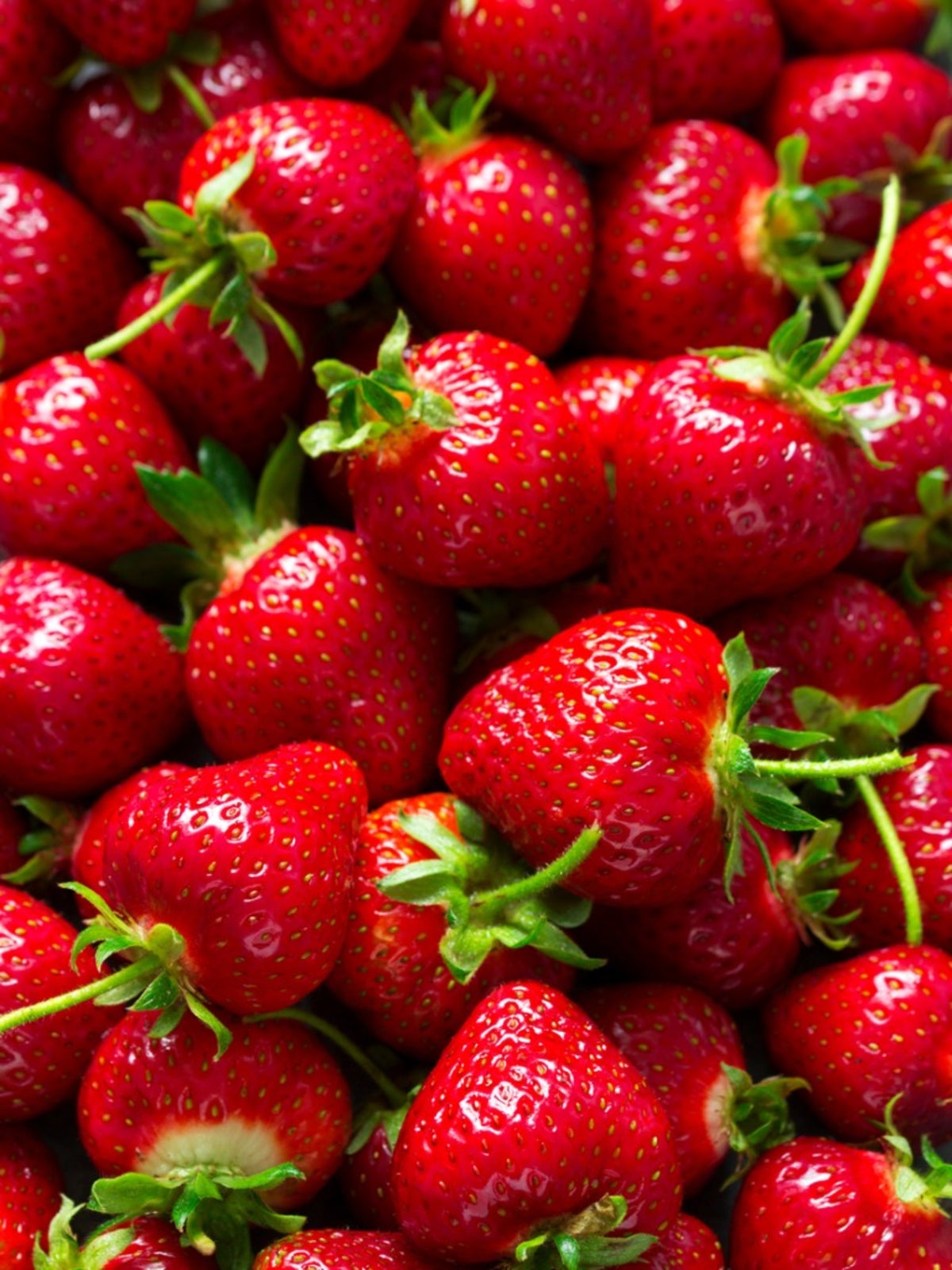 Strawberry 25 Best