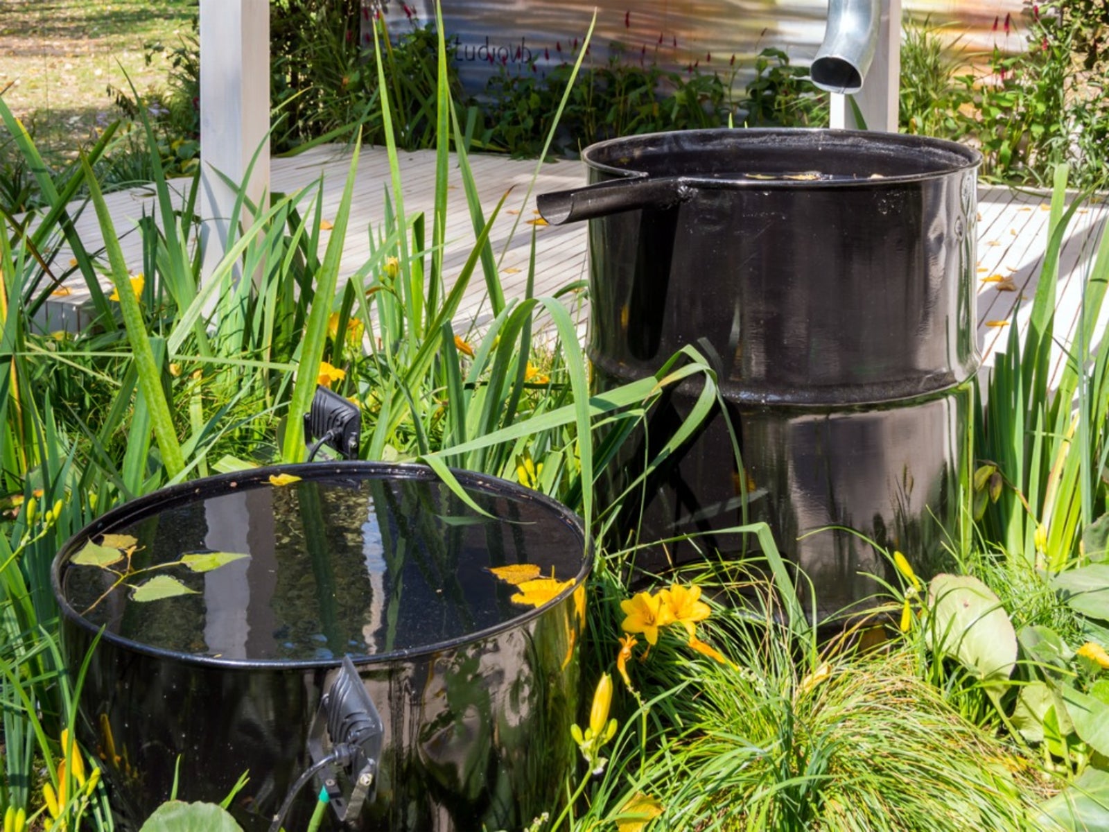 Harvesting Rainwater With Rain Barrels, Is Rain Water Good For Vegetable Garden
