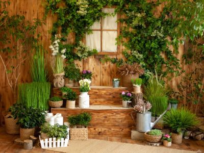 A Garden Room Full Of Potted Plants And Flowers
