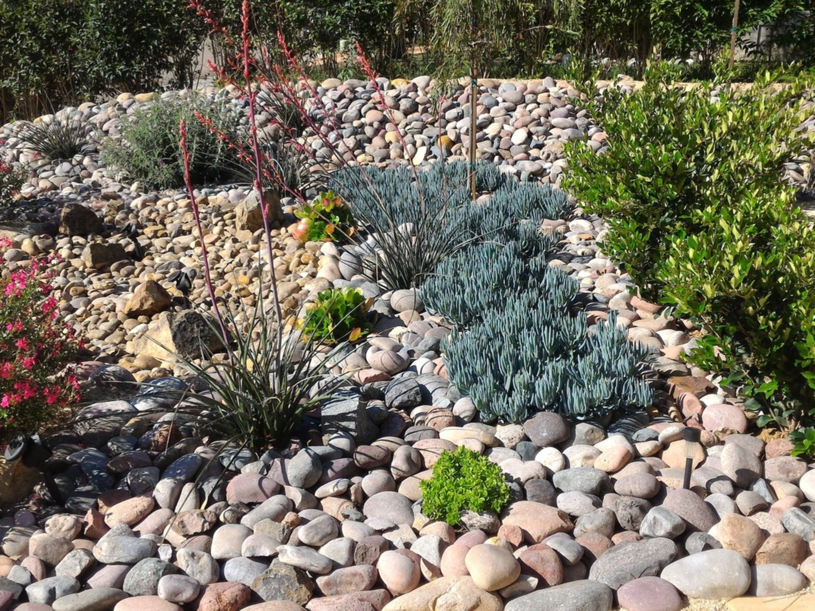 Planning Xeriscape Designs Water Wise, What Does Xeriscape Landscaping Mean