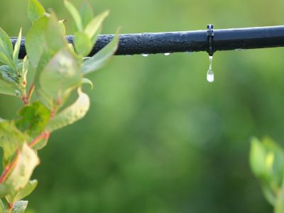 Close Up Of A Drip Irrigation System