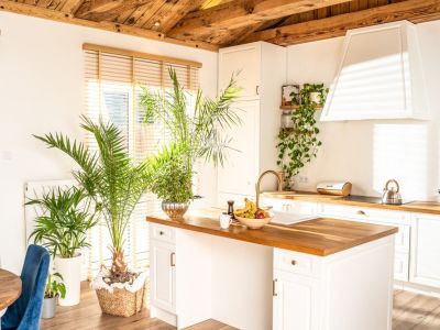 Potted Houseplants In The Kitchen
