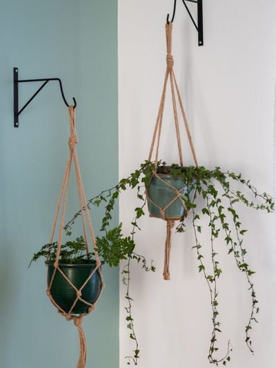 Two DIY Macrame Hanging Planters
