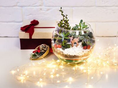 A Mini Holiday Terrarium With Christmas Decor And Lights