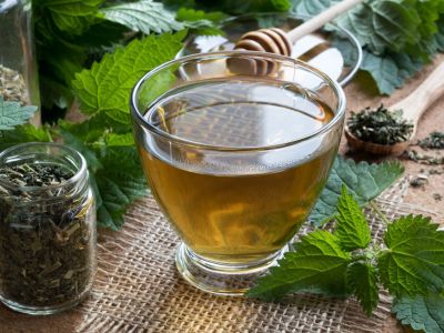 Herbs And Stinging Nettle Tea