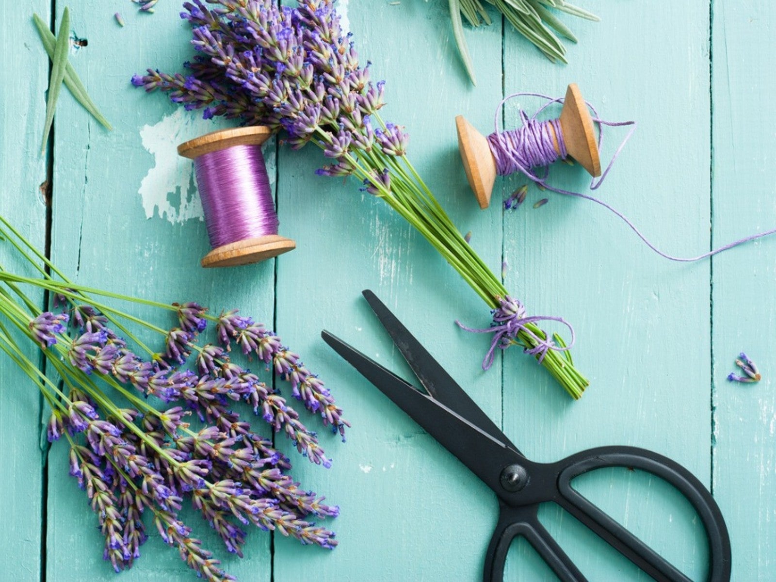 How To Use Lavender For DIY Projects