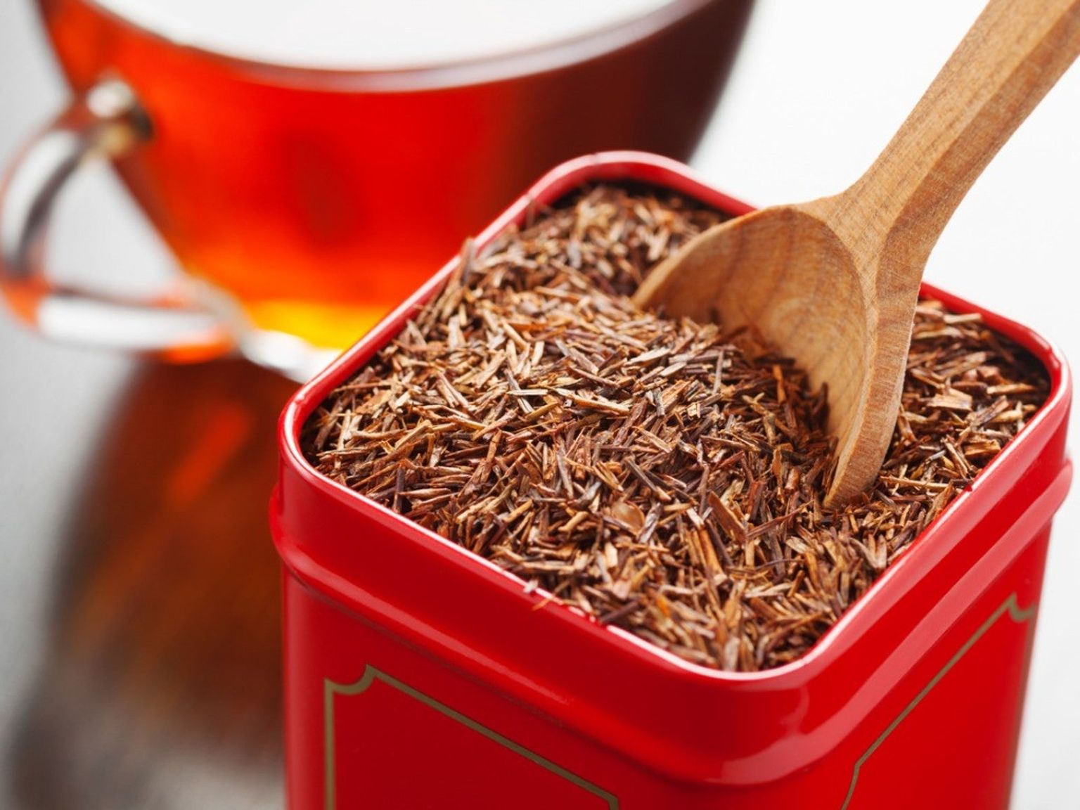 Growing A Rooibos Tea Plant - Rooibos Growing Conditions And Care